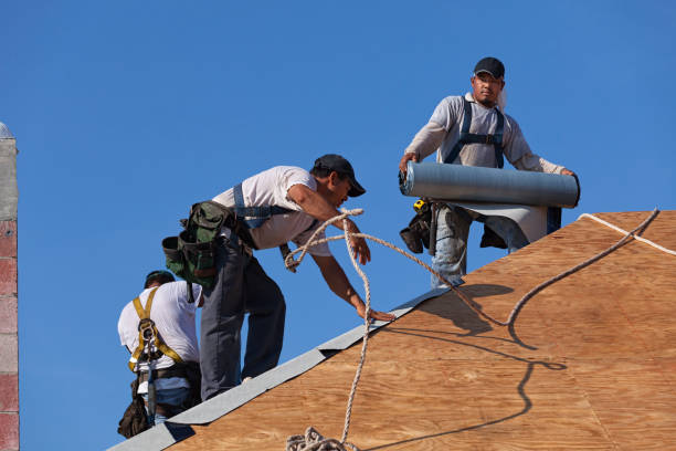 Roof Gutter Cleaning in Austin, MN