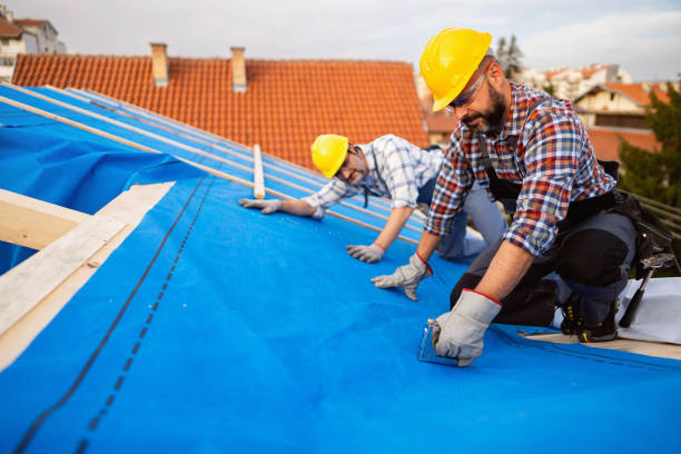 Best Flat Roof Repair Services  in Austin, MN